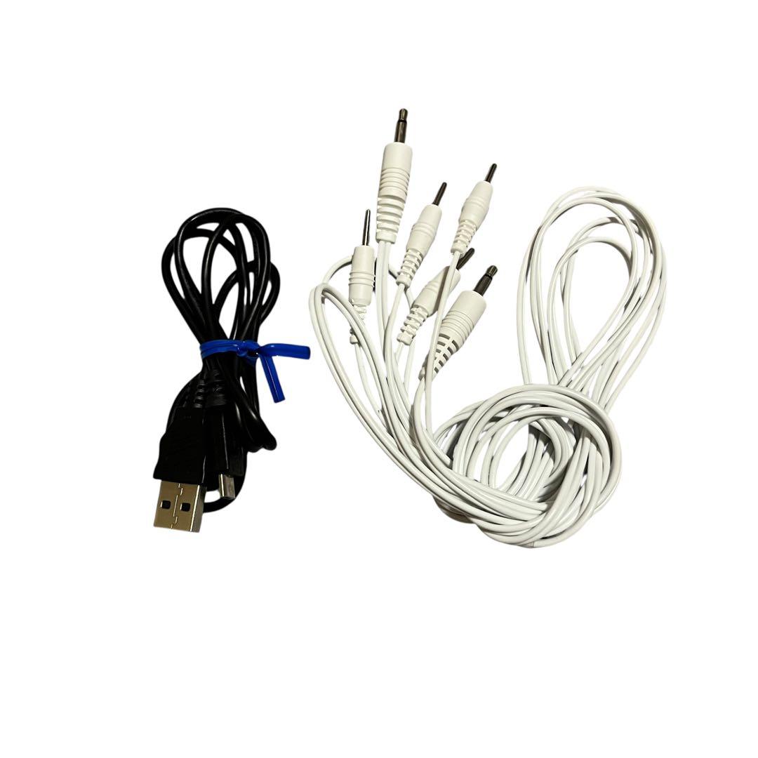 【美品】セプテム エモーショナルプロ 美顔器 EMS