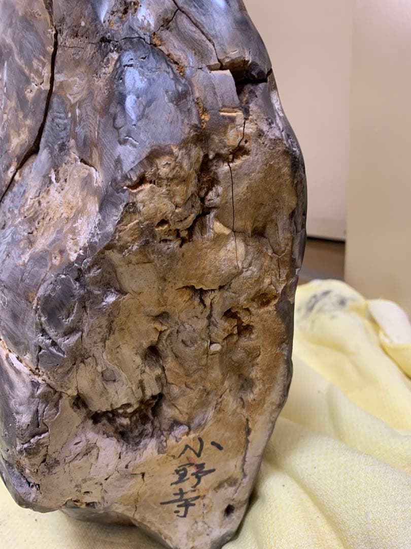 珪化石 木の化石 木化石 鑑賞置物 現状品 ジャンク品