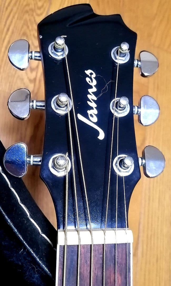 ★エレアコ★James J-450D Ova NAT★新品定価¥56,100