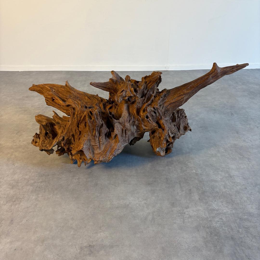 御神木　アート　インテリア　生花　オブジェ