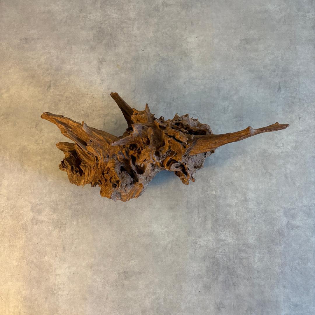 御神木　アート　インテリア　生花　オブジェ