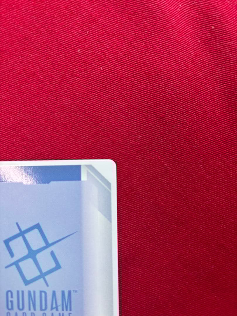 カ*ブ様 溢れる慈愛　パラレル　ローダー付き