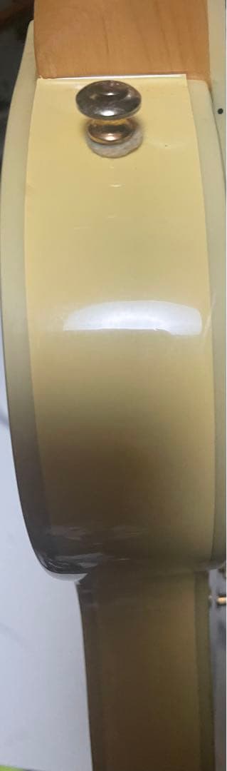 エピフォン ザックワイルド ブルズアイ エレキギター