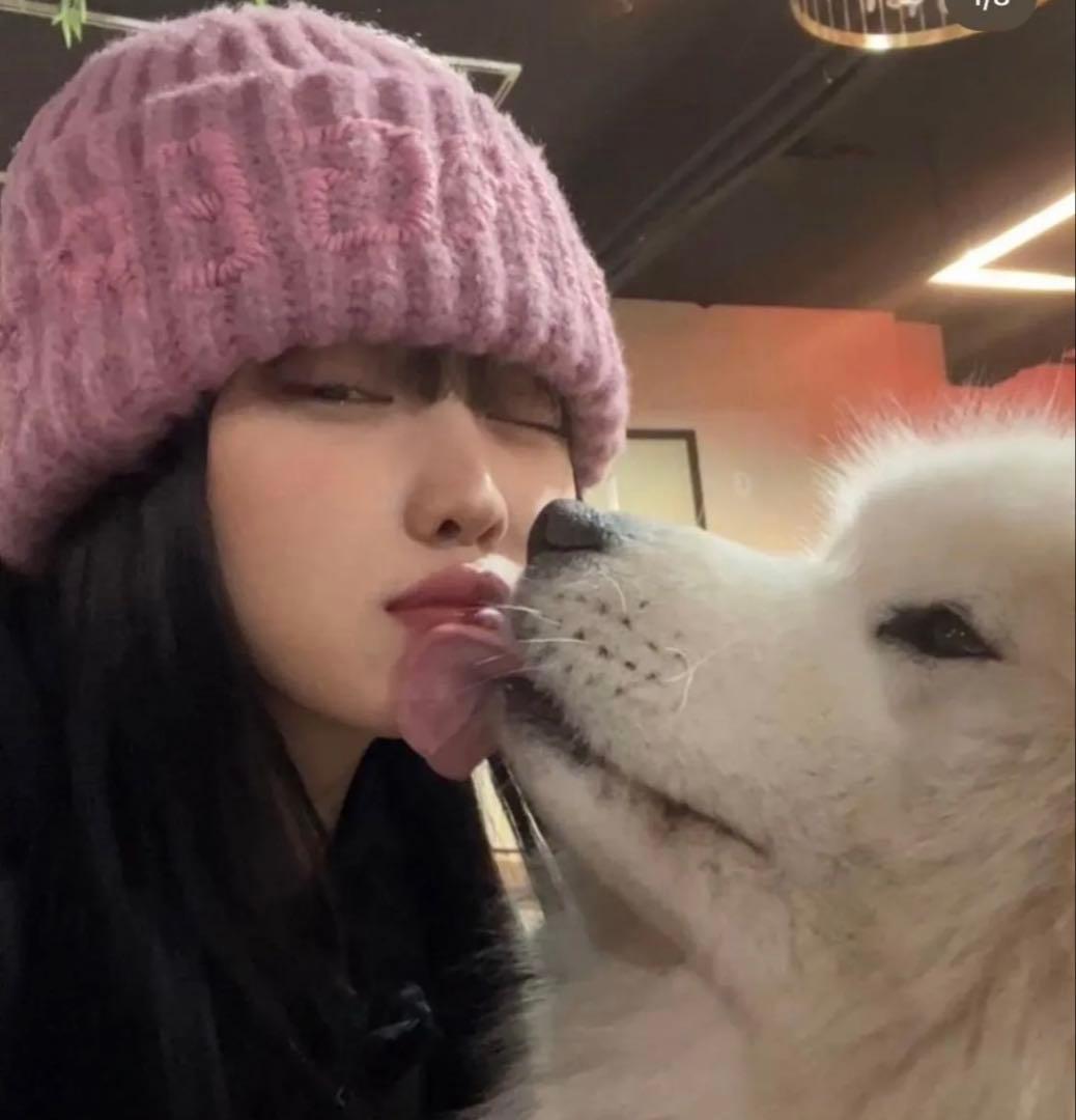 SURGERY(サージェリー) ピンクビーニー グ・ヒョミンビーニー