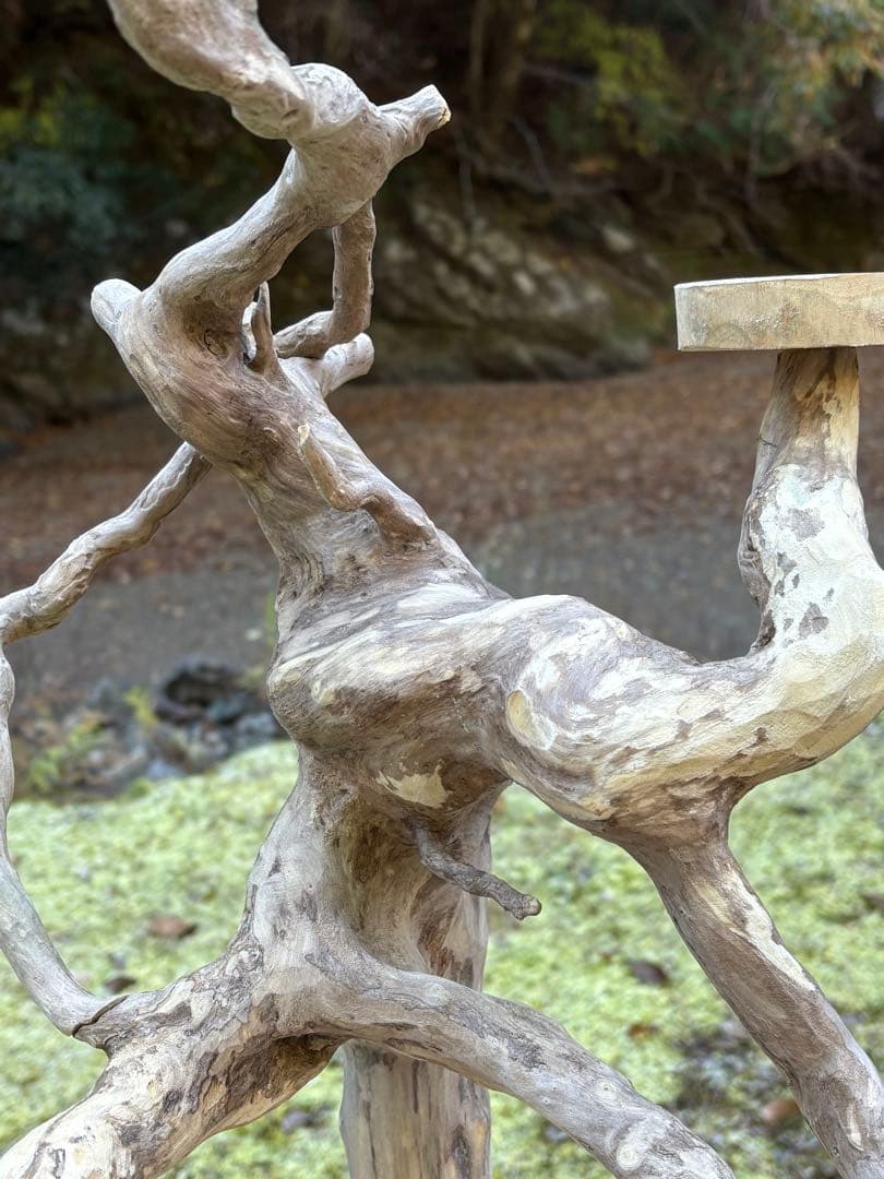 ハンドメイド　バードアスレチック　バードジム