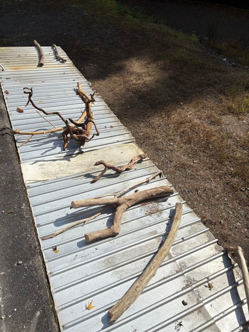 ハンドメイド　バードアスレチック　バードジム