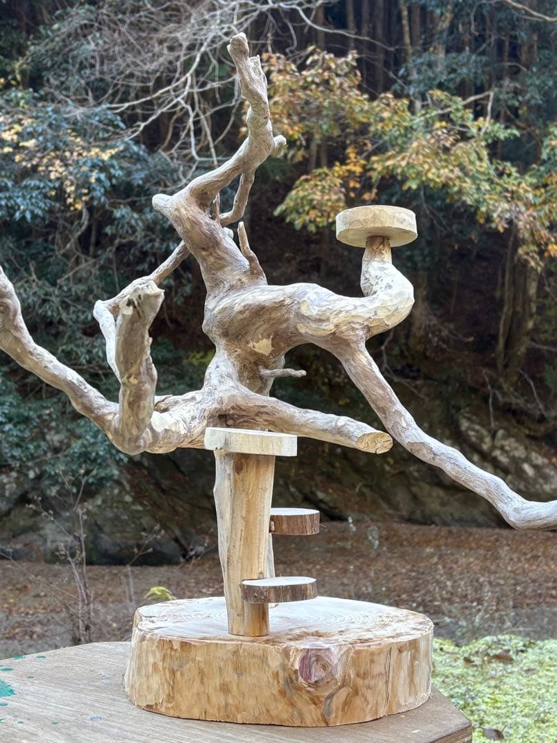 ハンドメイド　バードアスレチック　バードジム