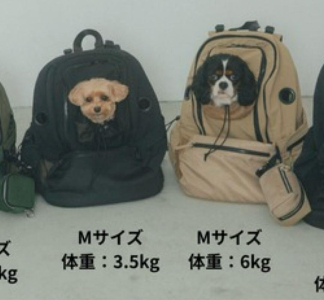 定価26,400円【MATIE】犬用リュック　Mサイズ ブラック