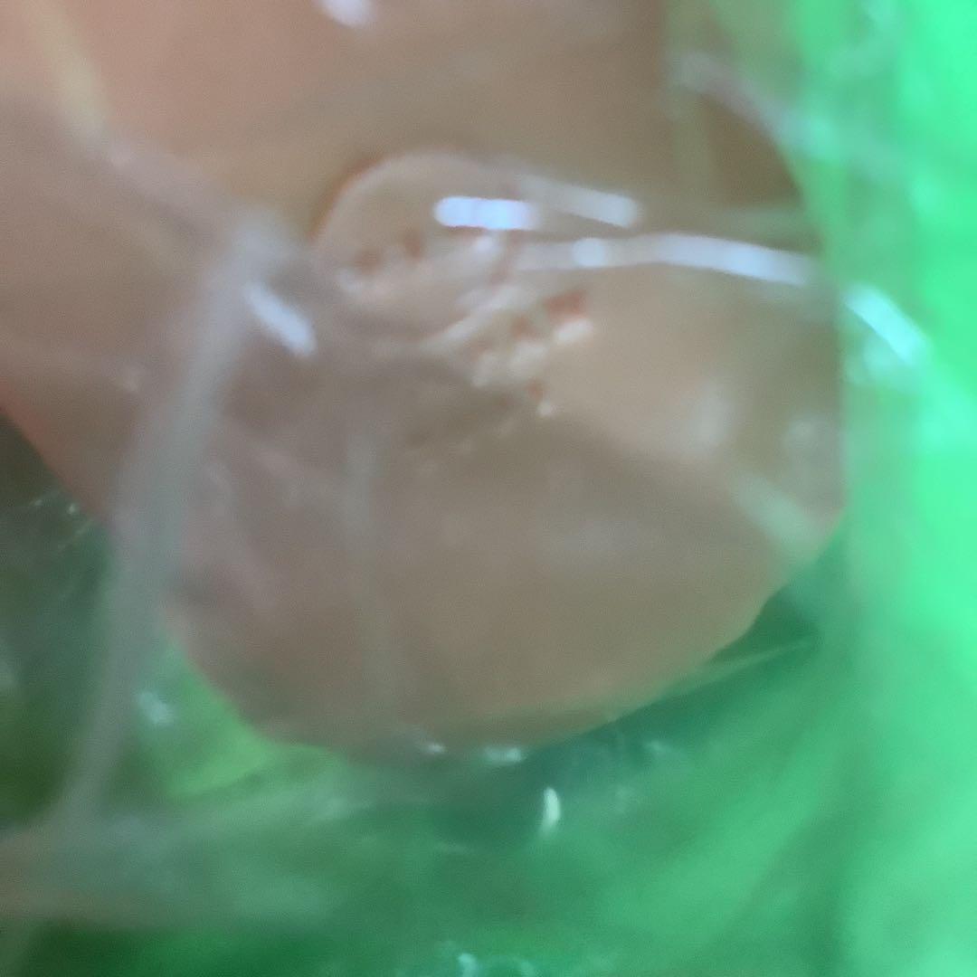 M1号★ソフビ★ウルトラマン★伝説怪獣★ウー★肌色成形★未開封★未塗装★円谷プロ