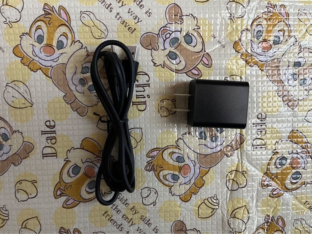 KING JIM デジタルメモpomera DM250 ポメラブラック