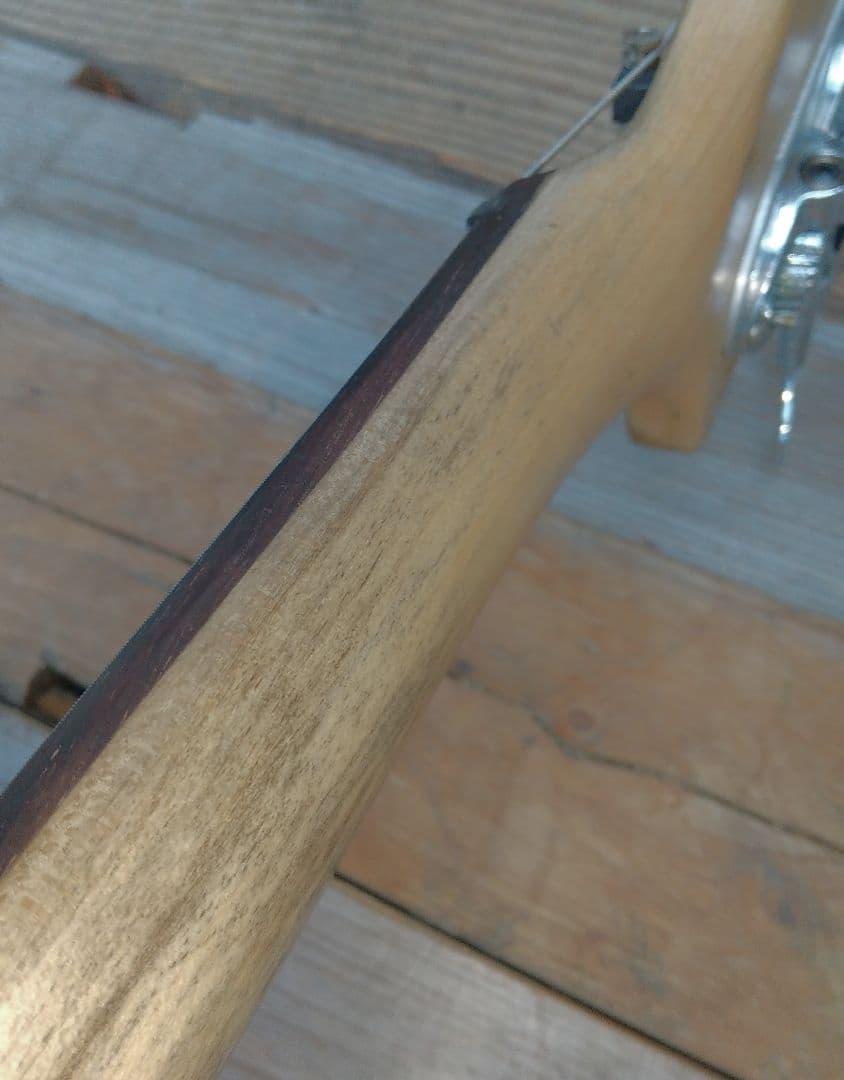 ベース tig tuned bass Selva SEB2020sp