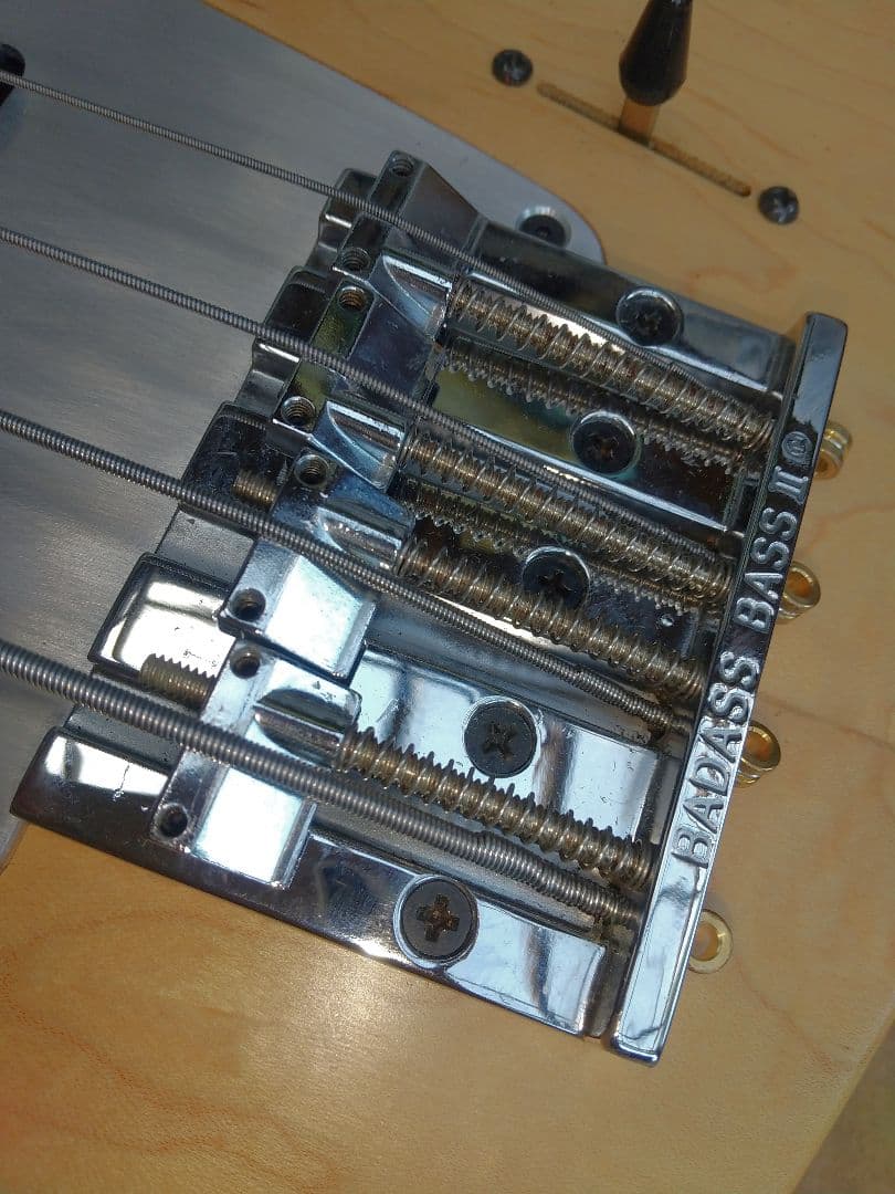 ベース tig tuned bass Selva SEB2020sp