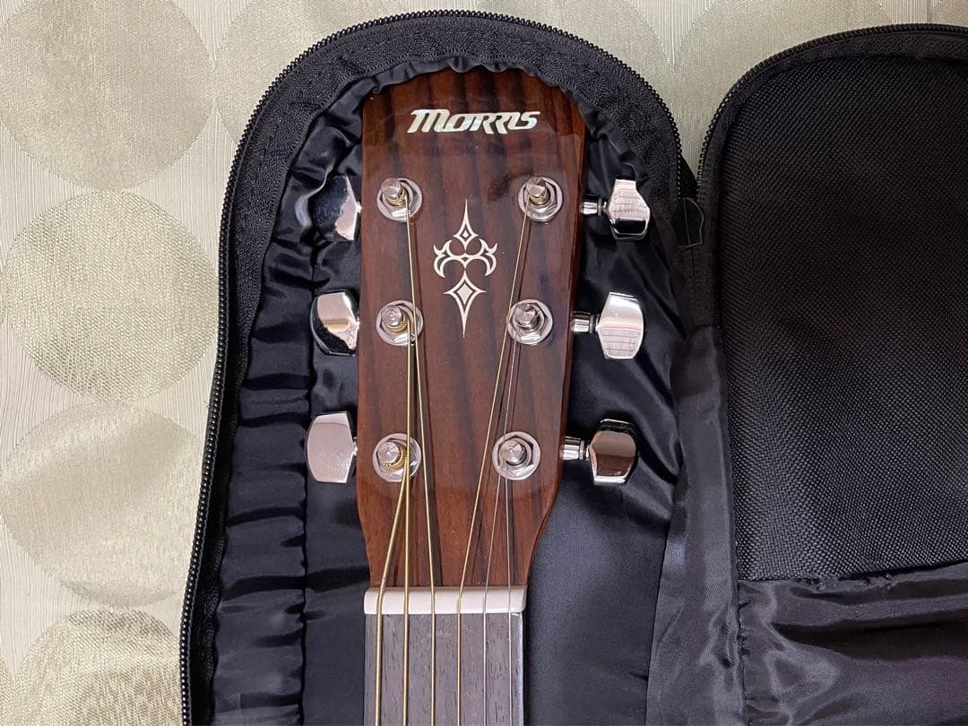 MORRIS モーリス楽器　アコースティックギター　F-35NAT チューナー等