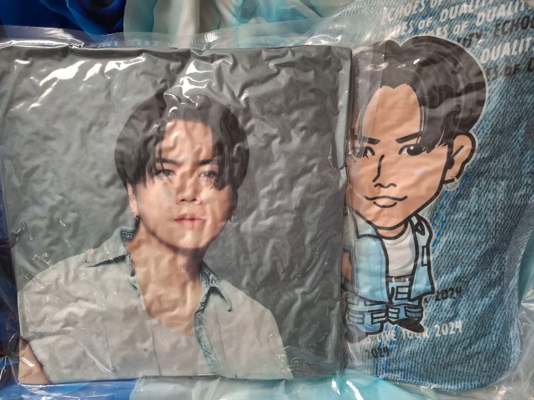 最終値下！ 登坂広臣 クッション 2種