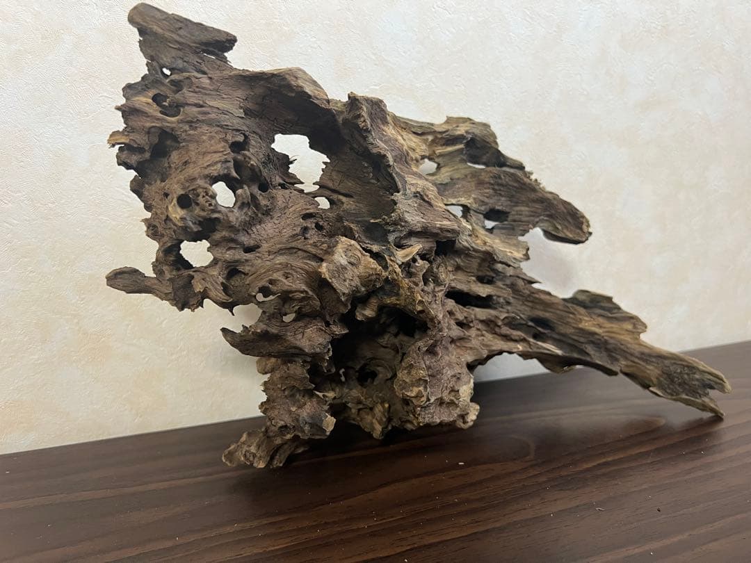 XM-307 流木　マシンガンウッド ブランチウッド　アクアリウム