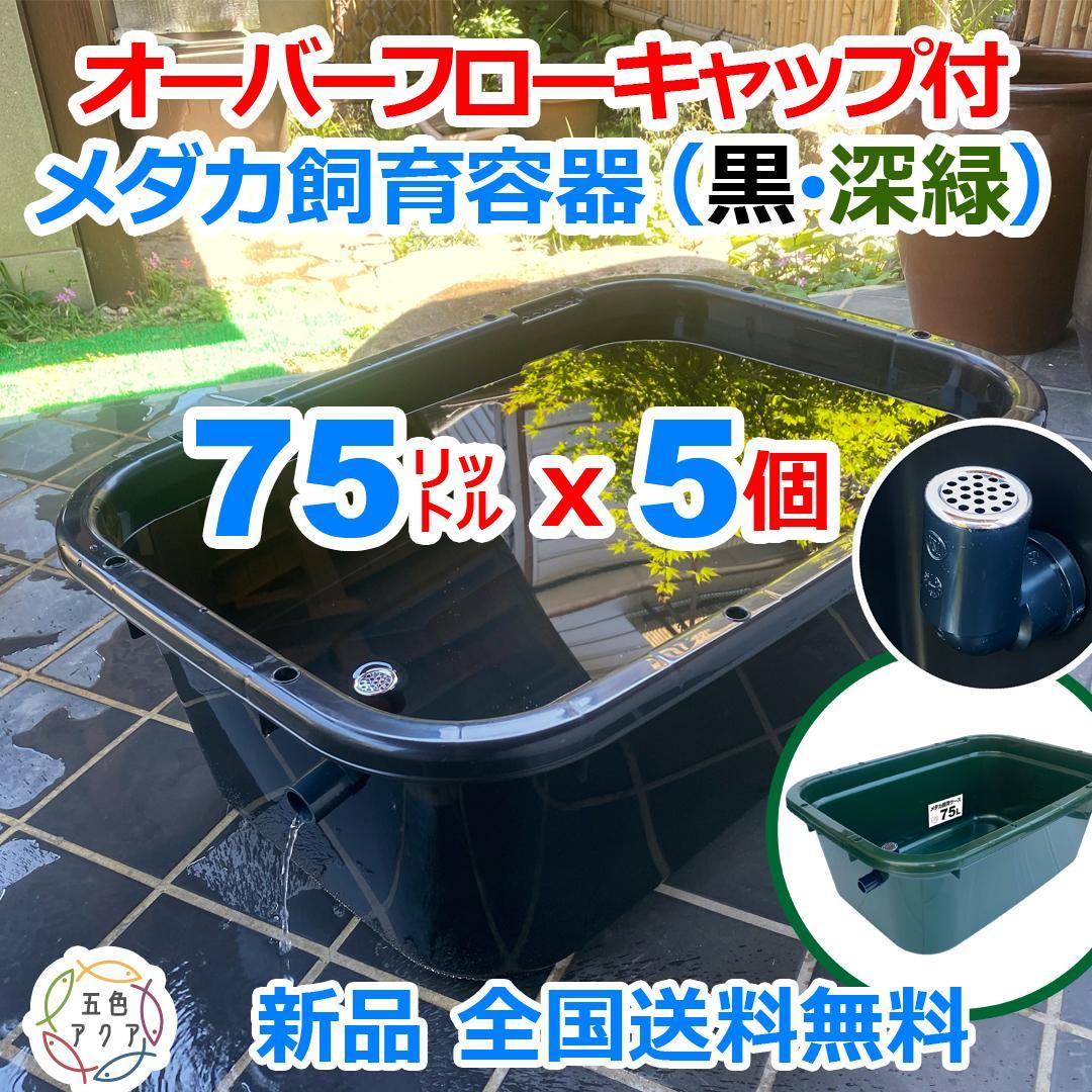 メダカ飼育ケース 75㍑x5個 黒・深緑あり オーバーフロー メダカ飼育容器