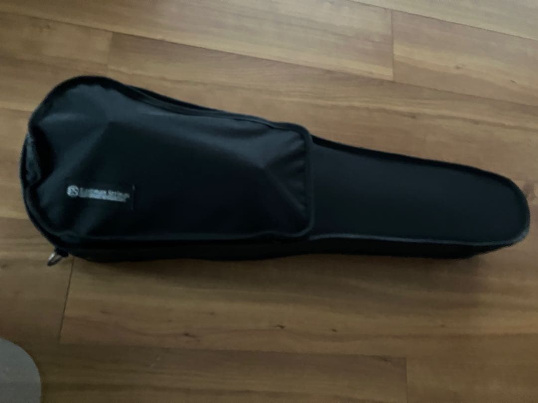 バイオリン Eastman 1/4サイズ