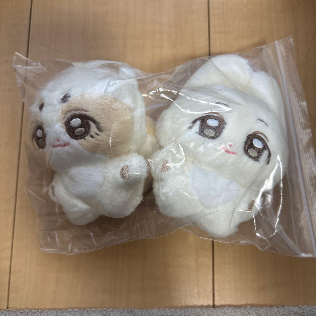 SEVENTEEN スンチョル ジョンハン　10センチドール マスター