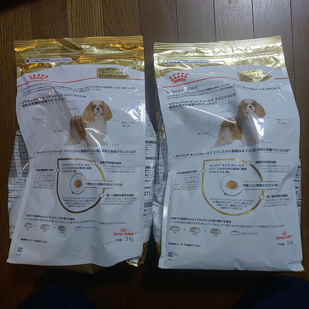  CANIN キバリアンキング・スパニエル 6キロ