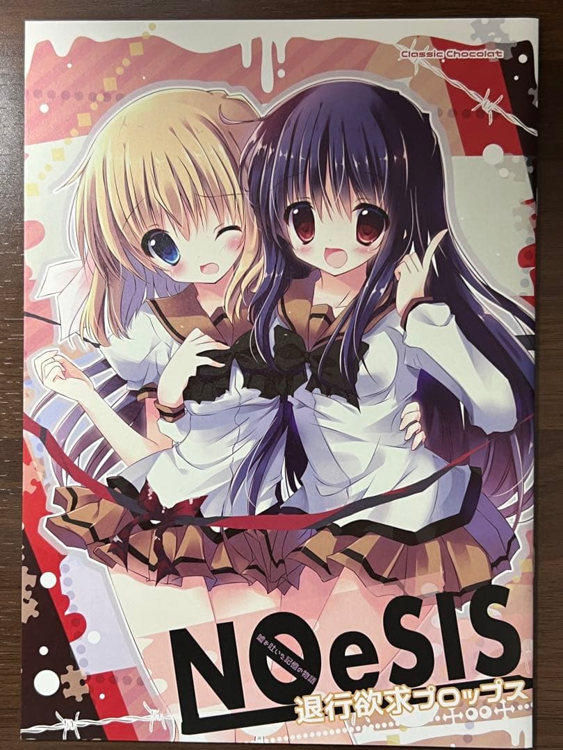 NOeSISグッズセット（同人誌、クリアファイル、抱き枕カバー、一部サイン入り）