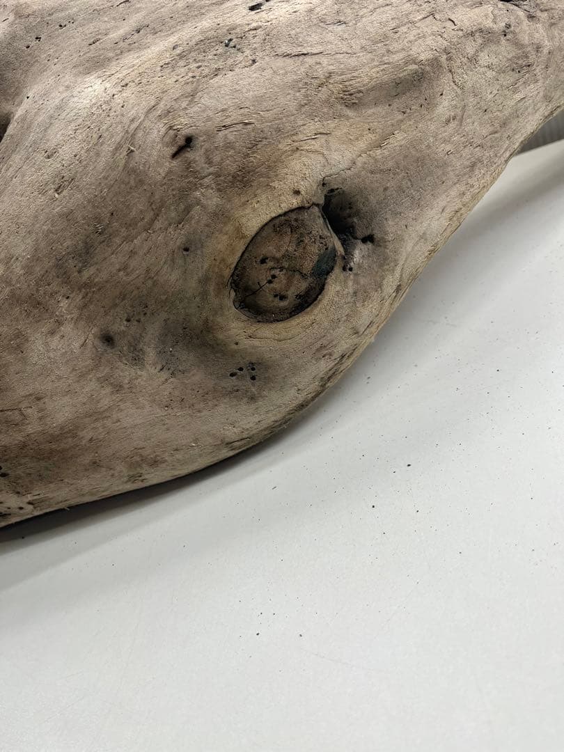 W29特大流木 アク抜き済み流木 爬虫類シェルター 登り木 インテリア 生け花