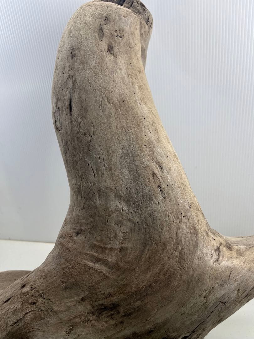 W29特大流木 アク抜き済み流木 爬虫類シェルター 登り木 インテリア 生け花