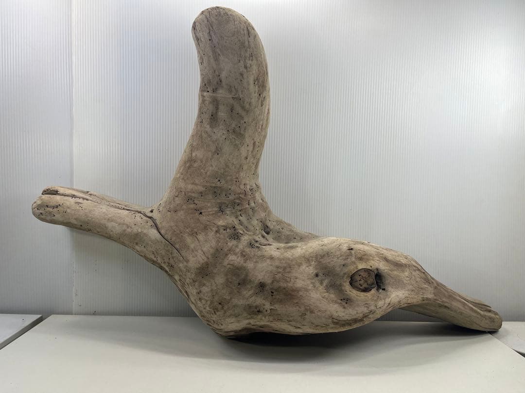 W29特大流木 アク抜き済み流木 爬虫類シェルター 登り木 インテリア 生け花