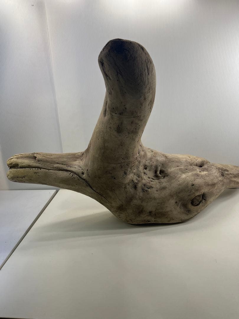 W29特大流木 アク抜き済み流木 爬虫類シェルター 登り木 インテリア 生け花