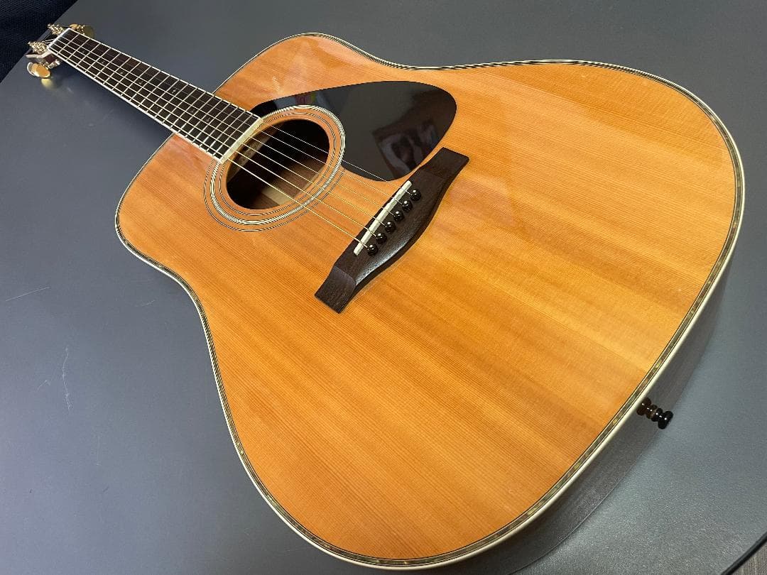 ギター YAMAHA DW-5S