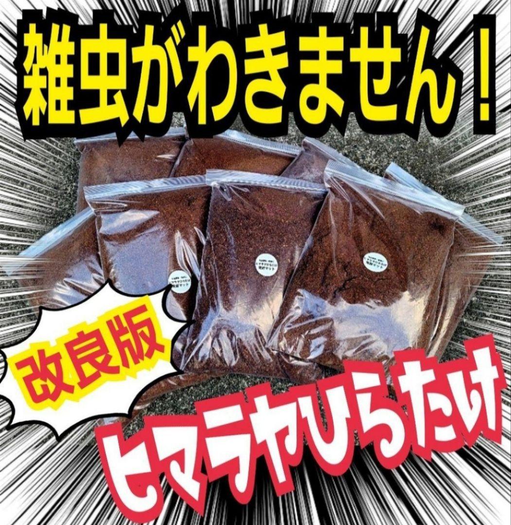 カブトムシ幼虫が大きくなる！発酵マット【たっぷり100リットル】雑虫わかない！