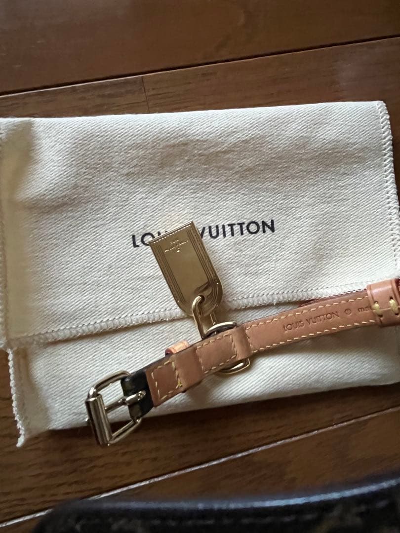 LOUIS VUITTON コリエ バクスター リボン 犬用首輪 モノグラム