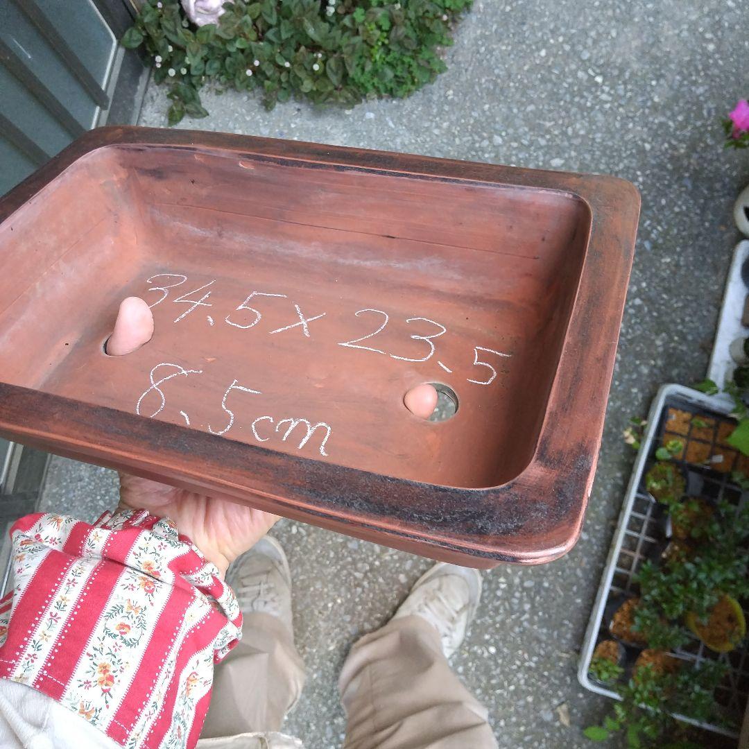 ミニ鉢、盆栽鉢、盆栽小鉢、鉢、植木鉢、山野草鉢、蘭鉢、盆栽