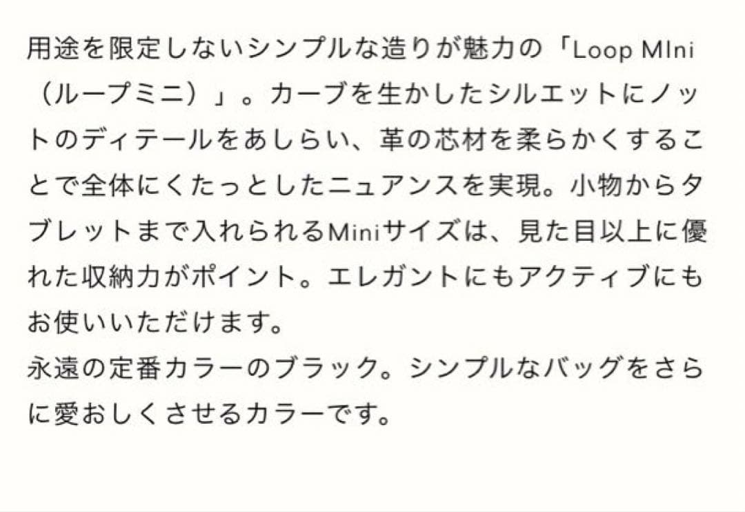 未使用　VASIC LOOP MINI ブラック