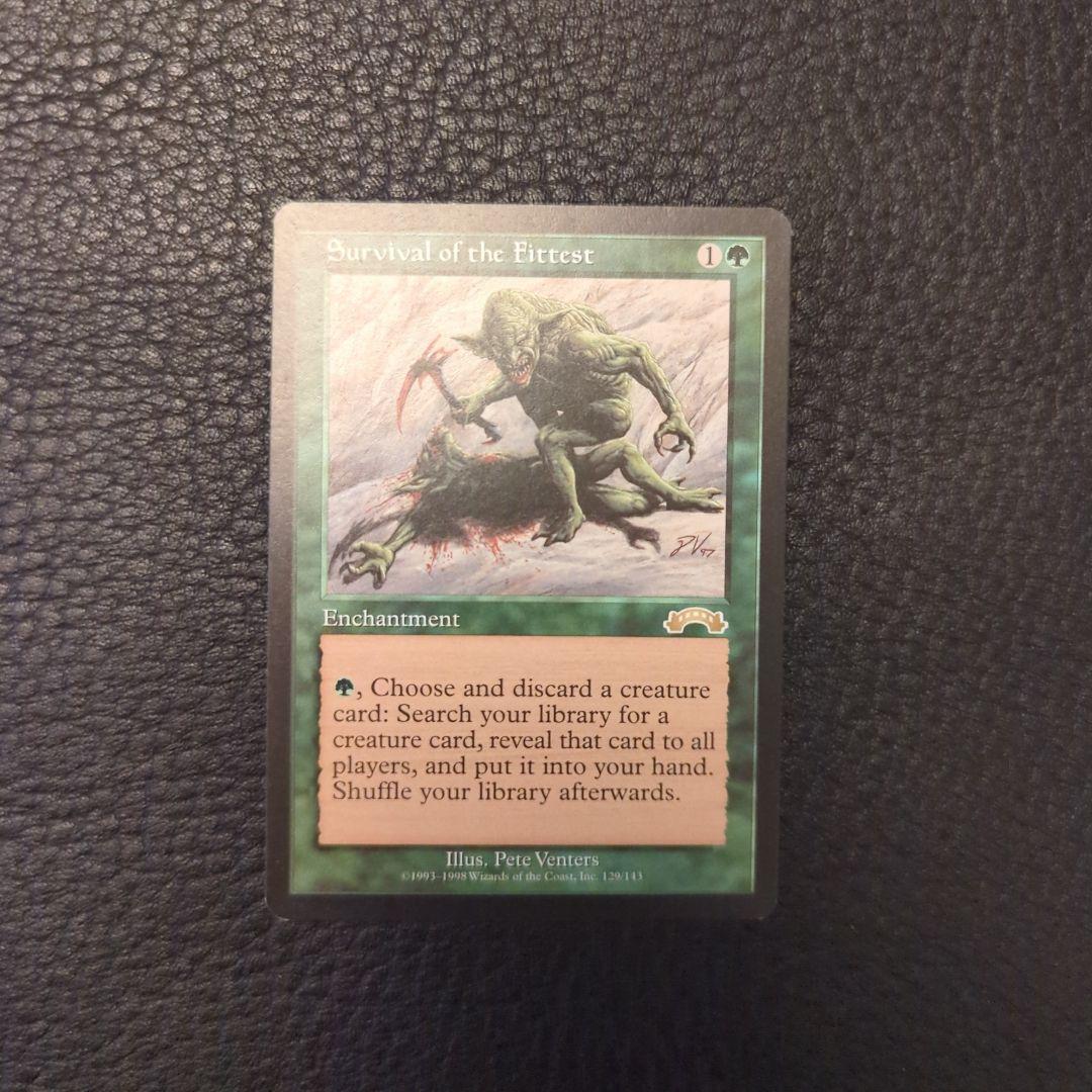 Survival of the Fittest 適者生存