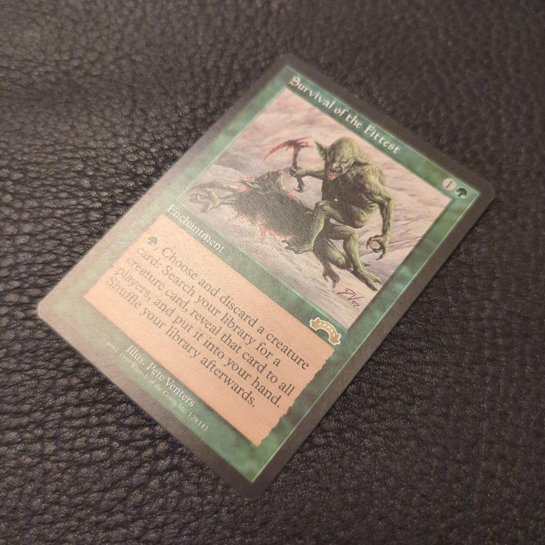 Survival of the Fittest 適者生存