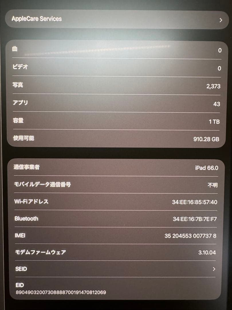 iPad Pro M4 13 1TB Wi-Fi + Cellular ナノテク