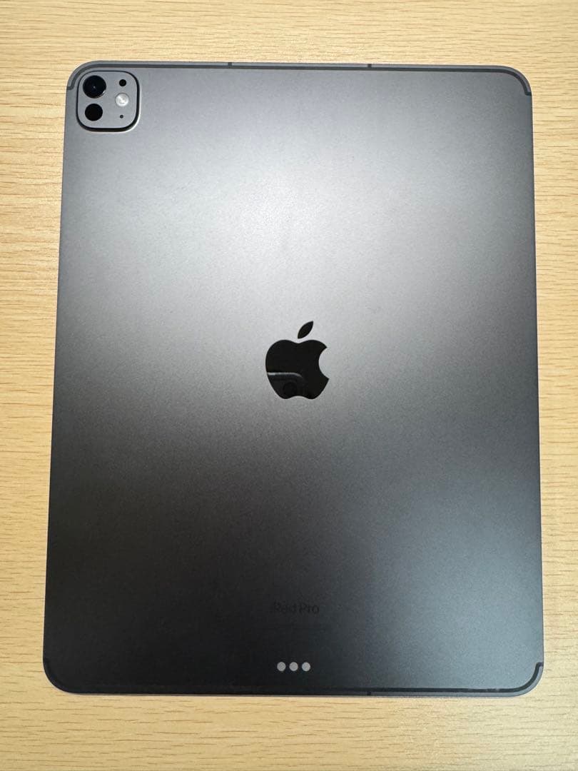 iPad Pro M4 13 1TB Wi-Fi + Cellular ナノテク