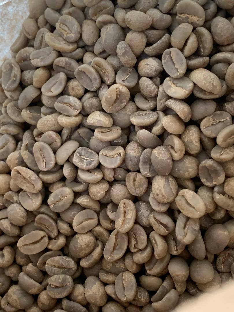 コーヒー生豆　約3. 6Kg ハンドピック済み