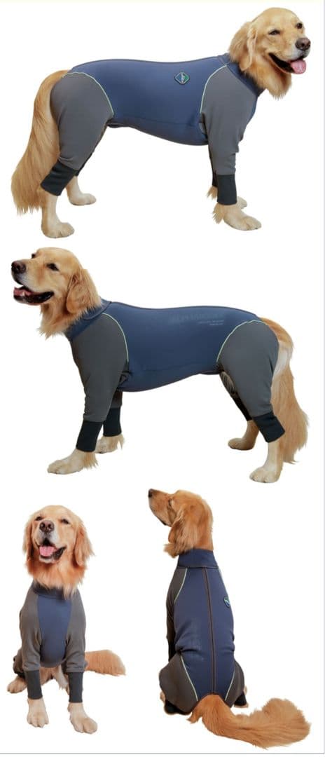 アルファアイコン　ダブルフルドックガード size: 2XL