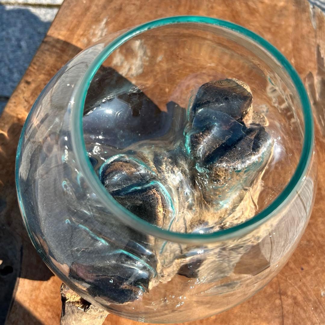 流木ガラスオブジェ大F 花瓶 金魚鉢 ガーデニング フラワーポット 水槽 アート