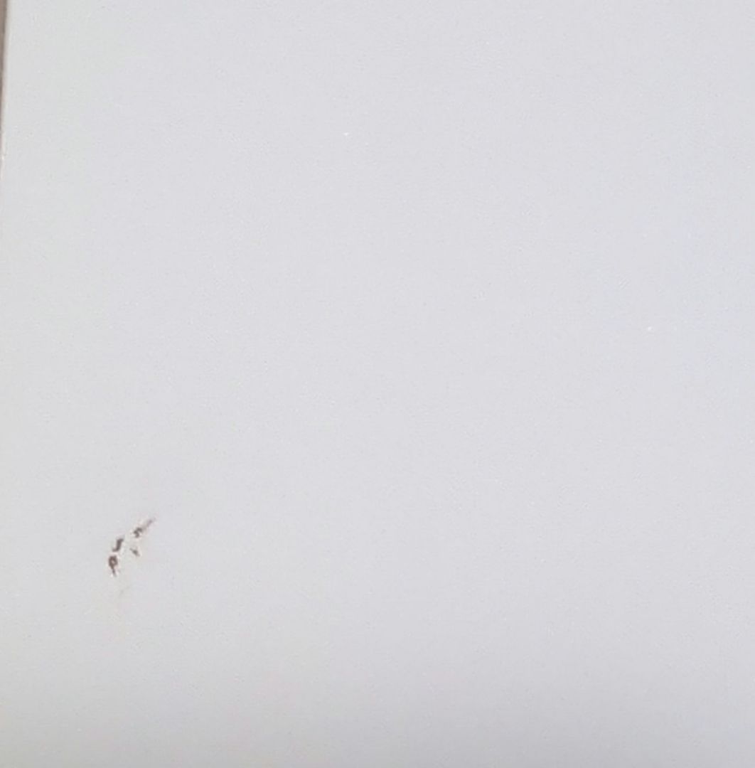 ハリー・ポッター魔法省　限定アートプリント　額縁つき