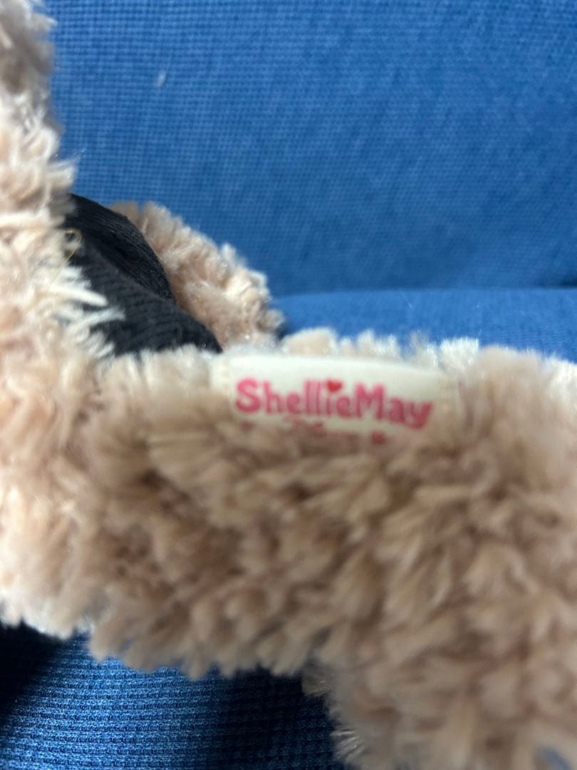 ★購入前確認無しのご購入不可です★ページ‼️