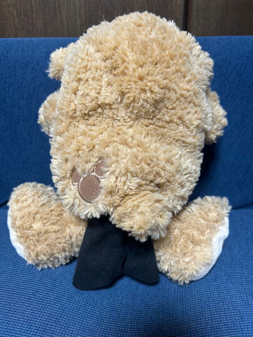 ★購入前確認無しのご購入不可です★ページ‼️