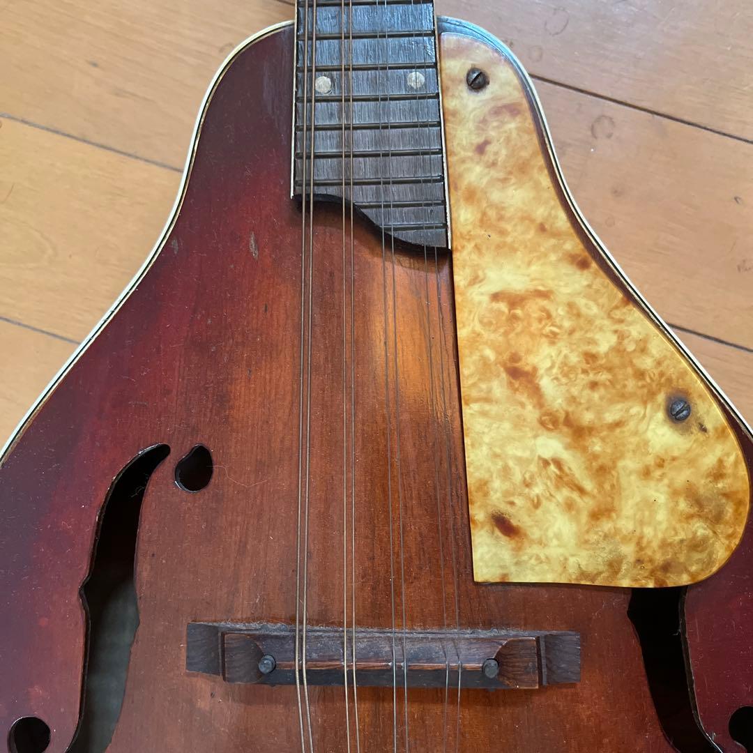 マンドリン　USA