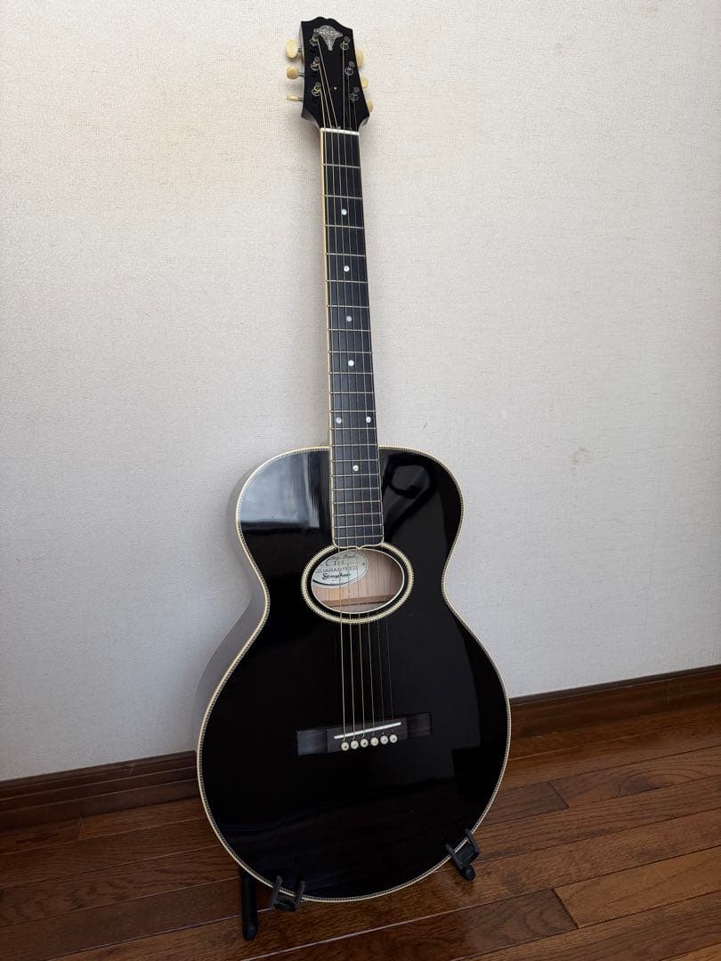 ギター stringphoonic LeRoy Oval