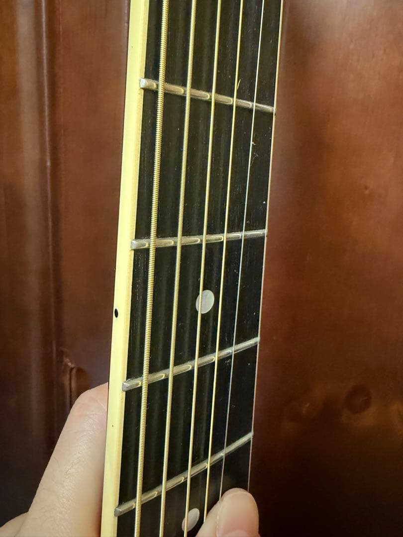 ギター stringphoonic LeRoy Oval