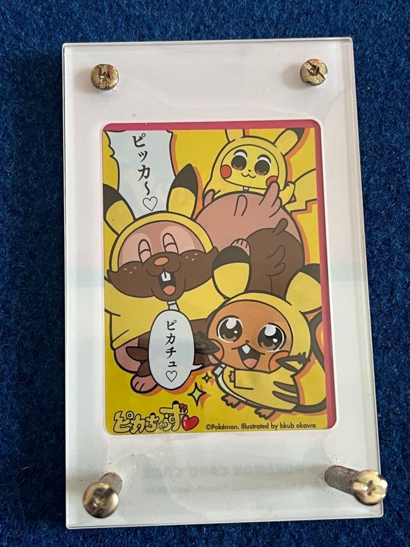 ひかるコイキング25th