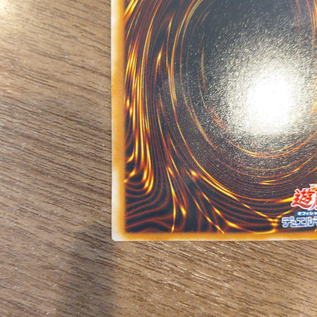 真紅眼の闇竜/レッドアイズダークネスドラゴン/ ドラゴン族/遊戯王/レリーフ