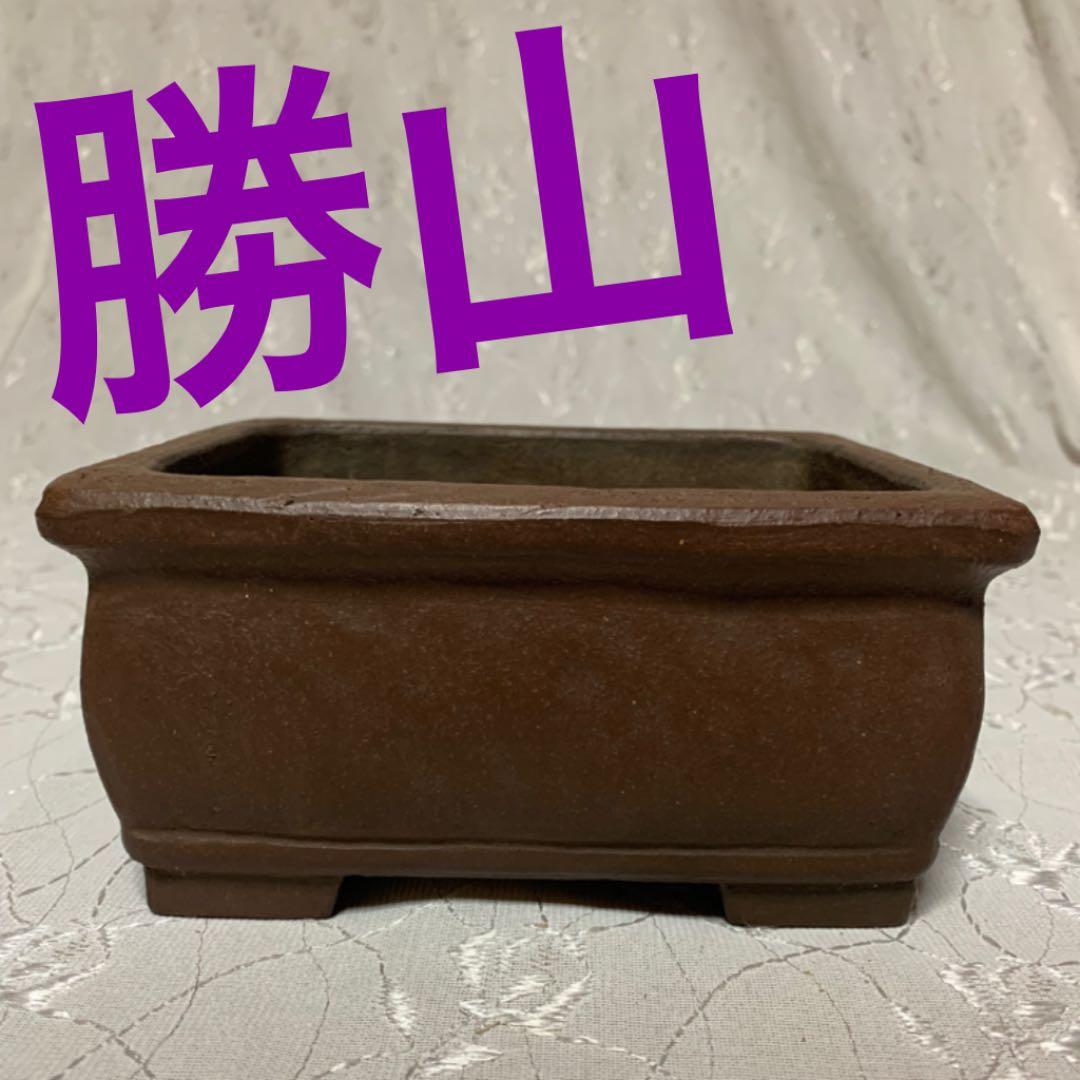 勝山　盆栽鉢　長方