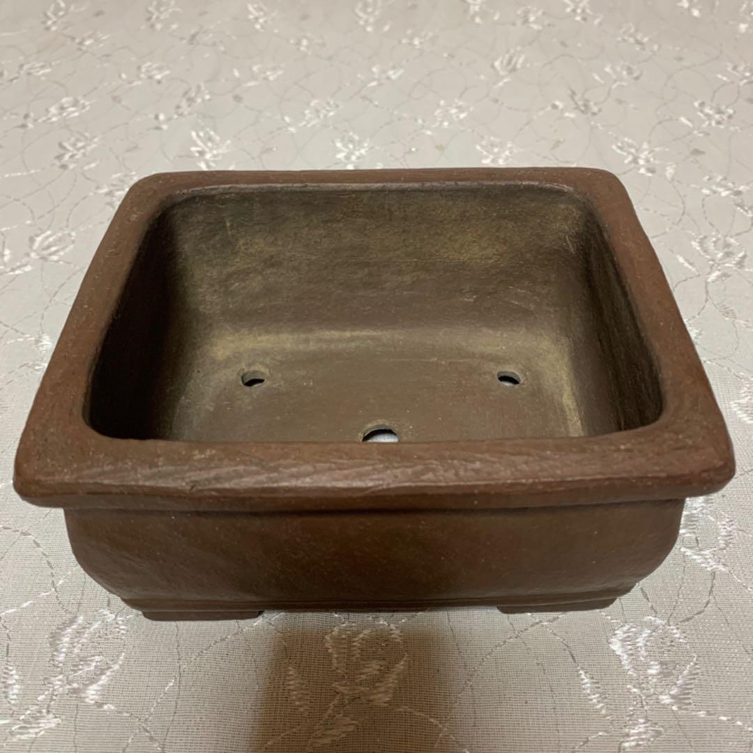 勝山　盆栽鉢　長方